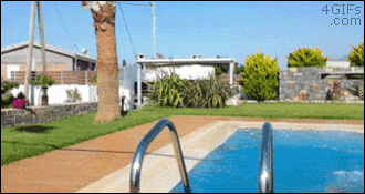 #05 Bewegter Picturedump 223