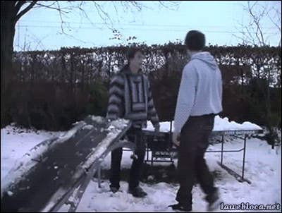 #23 Bewegter Picturedump 223