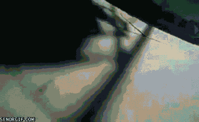 #01 Bewegter Picturedump 406