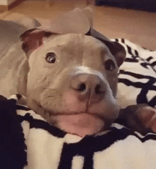 #02 Bewegter Picturedump 406