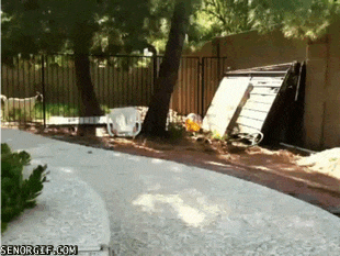 #06 Bewegter Picturedump 406