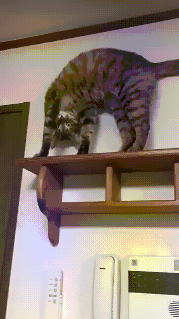 #16 Bewegter Picturedump 406