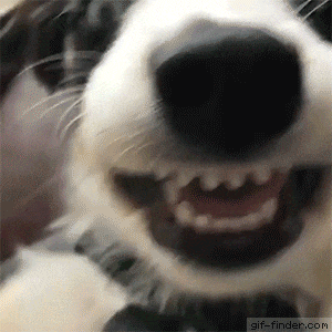 #18 Bewegter Picturedump 406