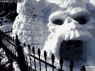 #31 Bewegter Picturedump 406