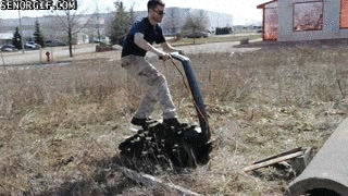 #39 Bewegter Picturedump 406