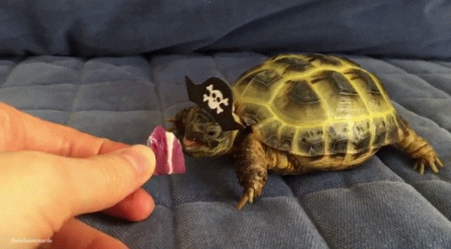 #01 Bewegter Picturedump 398