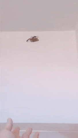 #11 Bewegter Picturedump 398