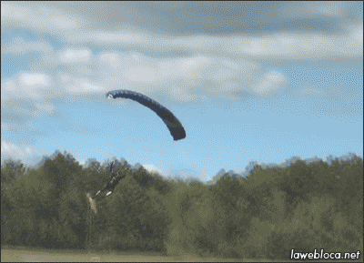 #14 Bewegter Picturedump 398