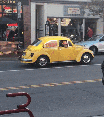 #19 Bewegter Picturedump 398