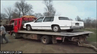 #29 Bewegter Picturedump 398