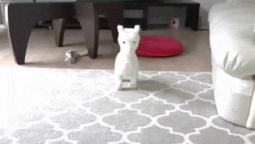 #01 Bewegter Picturedump 285