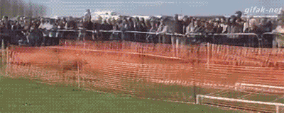 #10 Bewegter Picturedump 285