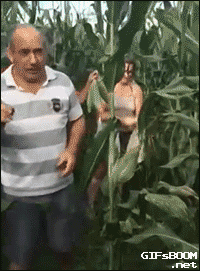 #15 Bewegter Picturedump 285