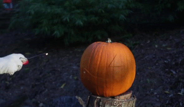 #13 Bewegter Picturedump 294