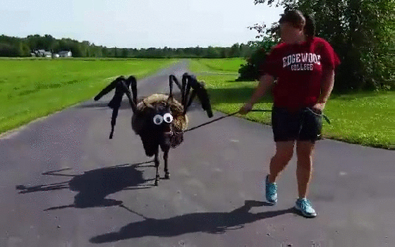 #24 Bewegter Picturedump 294