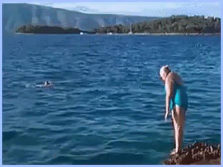 #02 Bewegter Picturedump 329