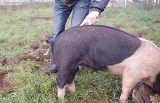 #07 Bewegter Picturedump 329