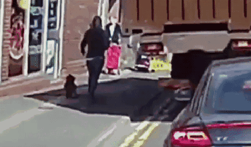 #14 Bewegter Picturedump 329