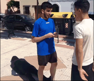 #08 Bewegter Picturedump 234