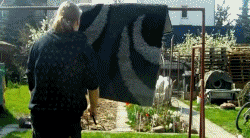 #02 Bewegter Picturedump 382