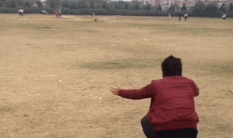 #11 Bewegter Picturedump 382