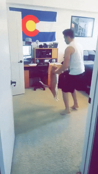 #14 Bewegter Picturedump 382