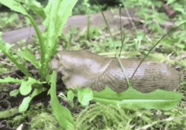 #18 Bewegter Picturedump 382