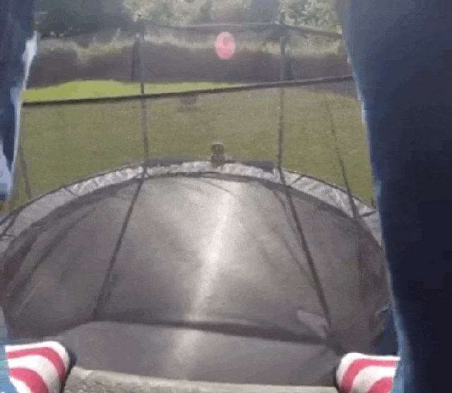 #30 Bewegter Picturedump 382