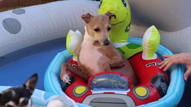 #31 Bewegter Picturedump 382