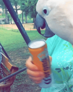 #35 Bewegter Picturedump 382