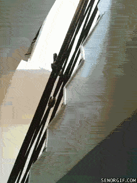 #06 Bewegter Picturedump 400