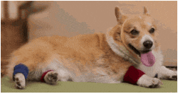 #07 Bewegter Picturedump 400