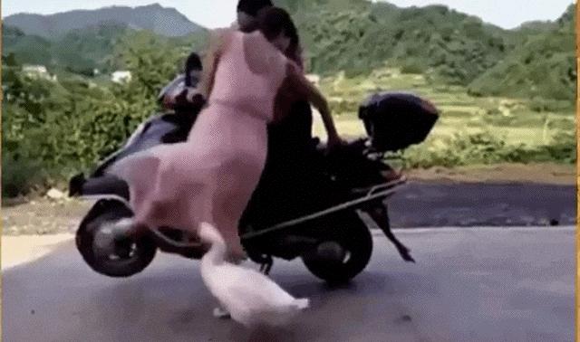 #16 Bewegter Picturedump 400