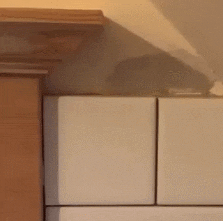 #21 Bewegter Picturedump 400