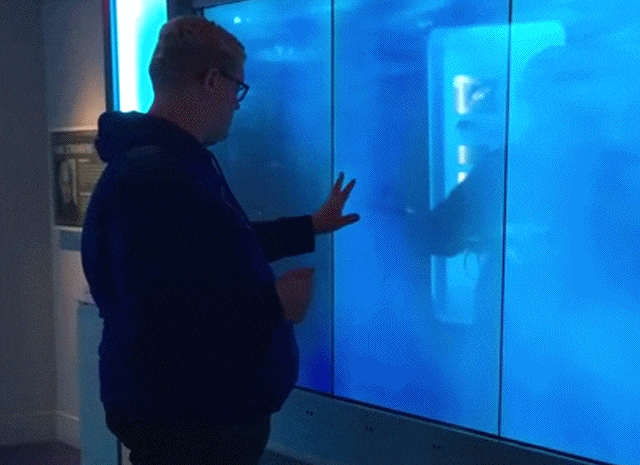 #31 Bewegter Picturedump 400