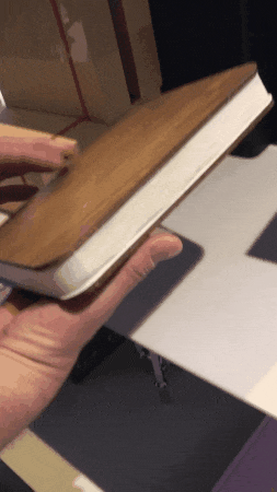 #35 Bewegter Picturedump 400