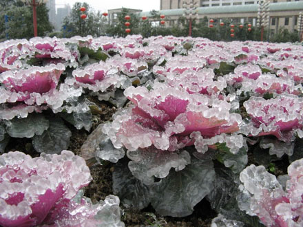 Eisregen in China