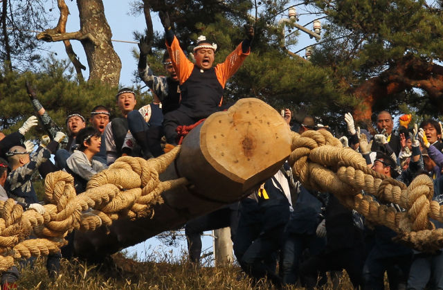 Japaner reiten auf heiligem Baumstamm