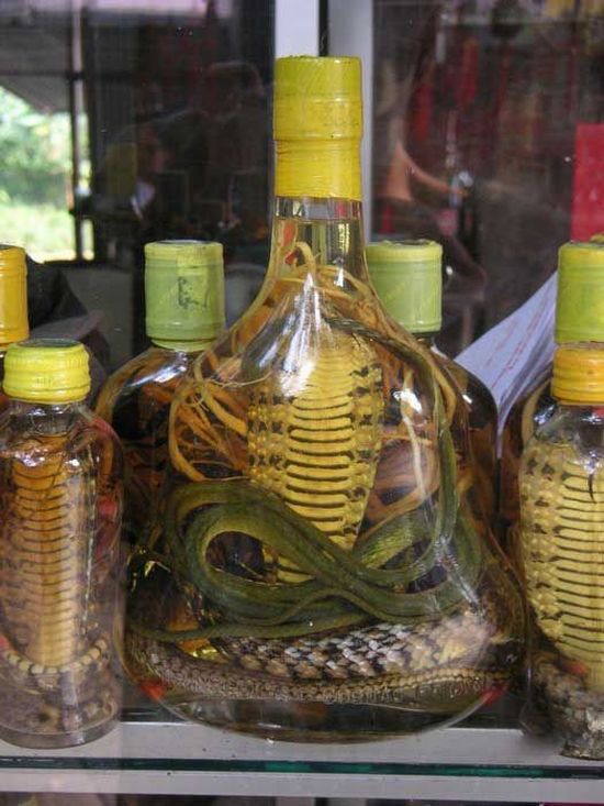 Wein und Likör mit eingelegten Schlangen