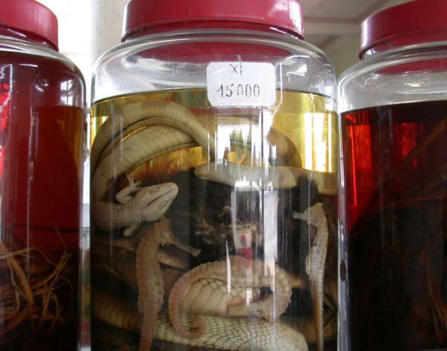 Wein und Likör mit eingelegten Schlangen
