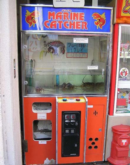 Cooler Automat
