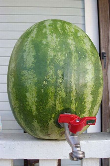 Wassermelone mit Zapfhahn