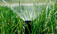 Sprinkler im Wintermodus