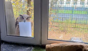 Die Post ist da!