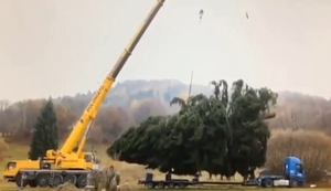 Riesigen Weihnachtsbaum verladen geht schief