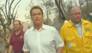 Arni findet sie alle!