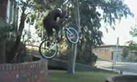 Amazing Bike Skills