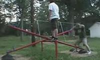 Nussknacker 2