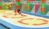 Triple Spin