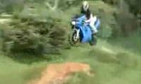 Nicht das passende Bike